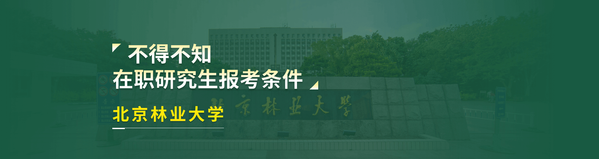北京林业大学在职研究生报考条件是什么？